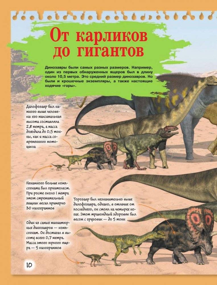 Расскажи мне всё о динозаврах фото книги 11
