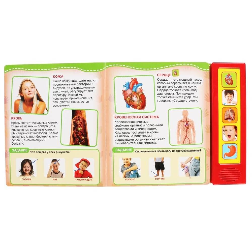 Тело человека фото книги 2