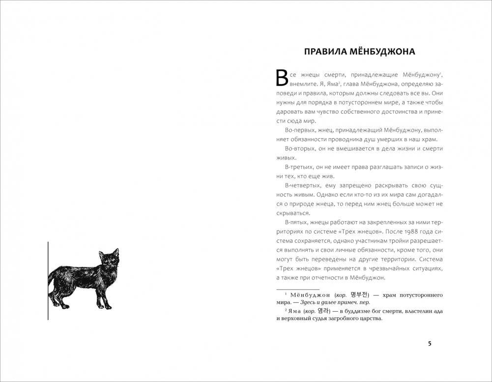 Пока ты видишь меня фото книги 2