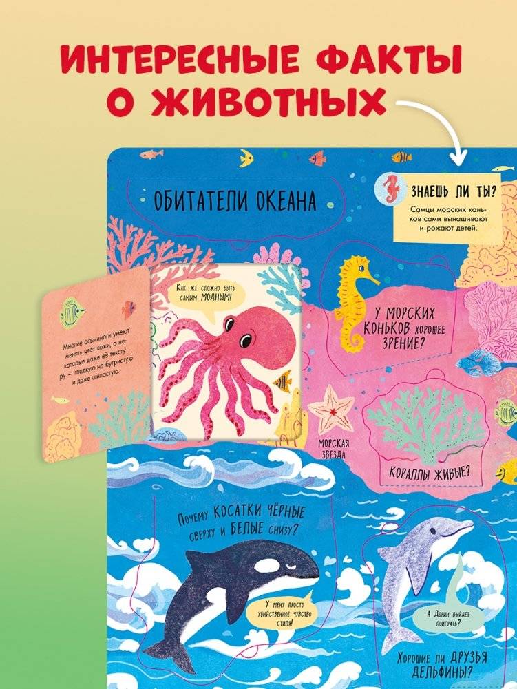 Большая книга с окошками. Животные фото книги 11