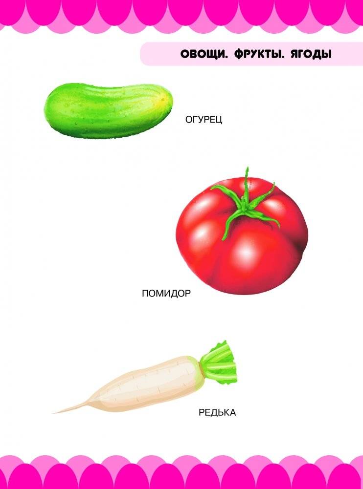 Мир природы. Овощи, фрукты, ягоды, цветы, деревья фото книги 3