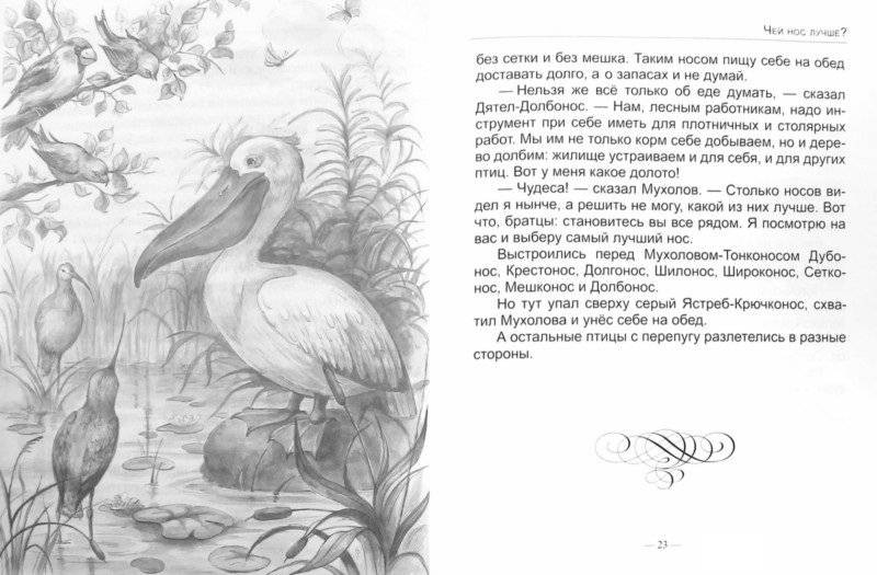 Лесные домишки фото книги 2