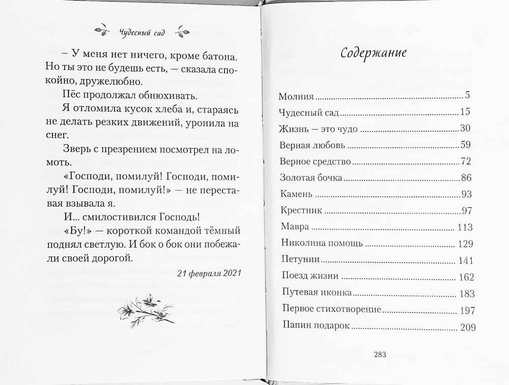 Чудесный сад фото книги 6