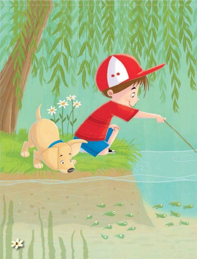 Живая природа в вопросах и ответах фото книги 8