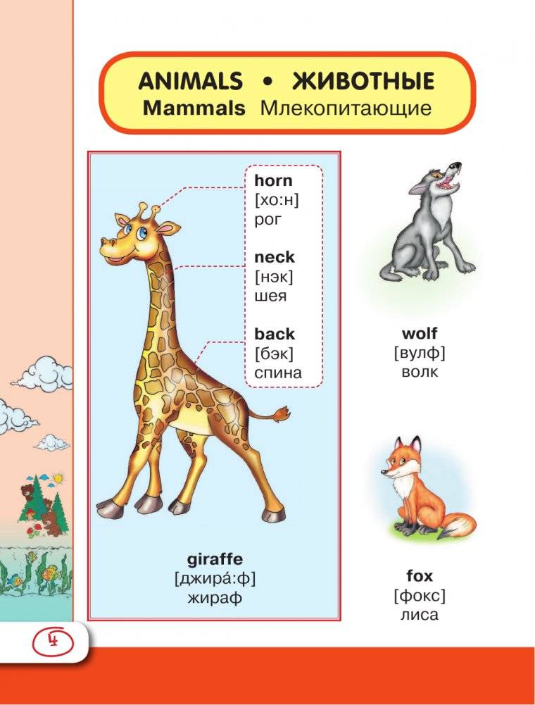 Английский визуальный словарь с произношением фото книги 3