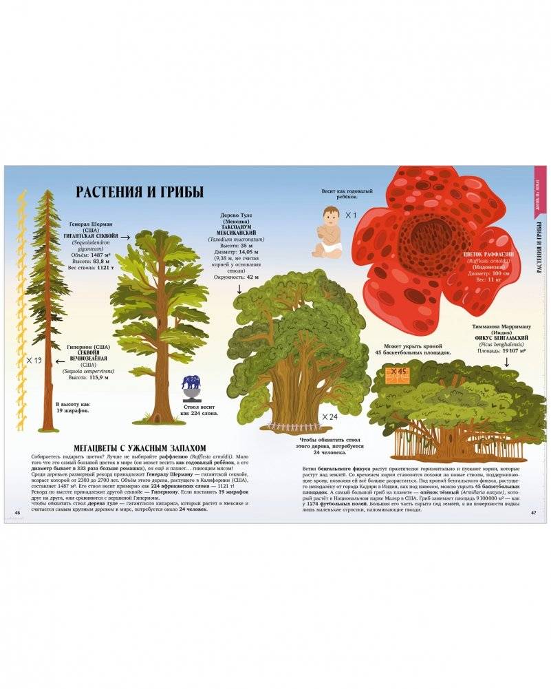 Большая энциклопедия CLEVER. Земля от атома до галактики. Масштабы мира в цифрах фото книги 4