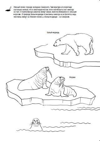 Зимняя книжка. Снежные приключения с Тимкой и Тинкой фото книги 7