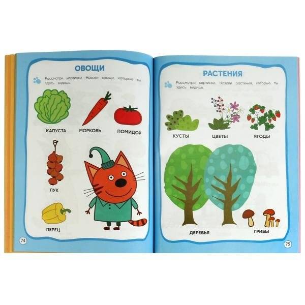 Три кота . Годовой курс занятий. 2-3 года фото книги 2