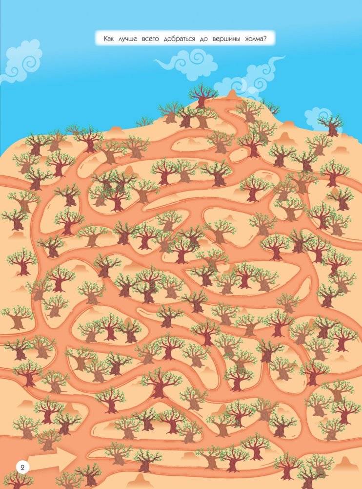 Лабиринты. Вокруг света фото книги 3