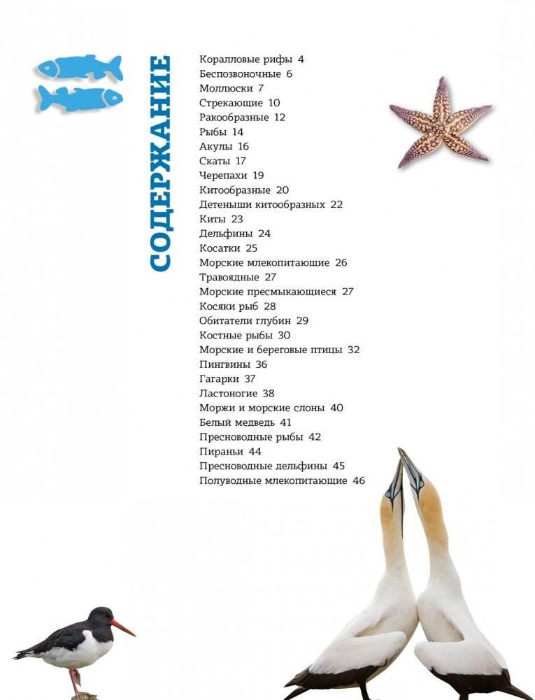 Подводный мир фото книги 2