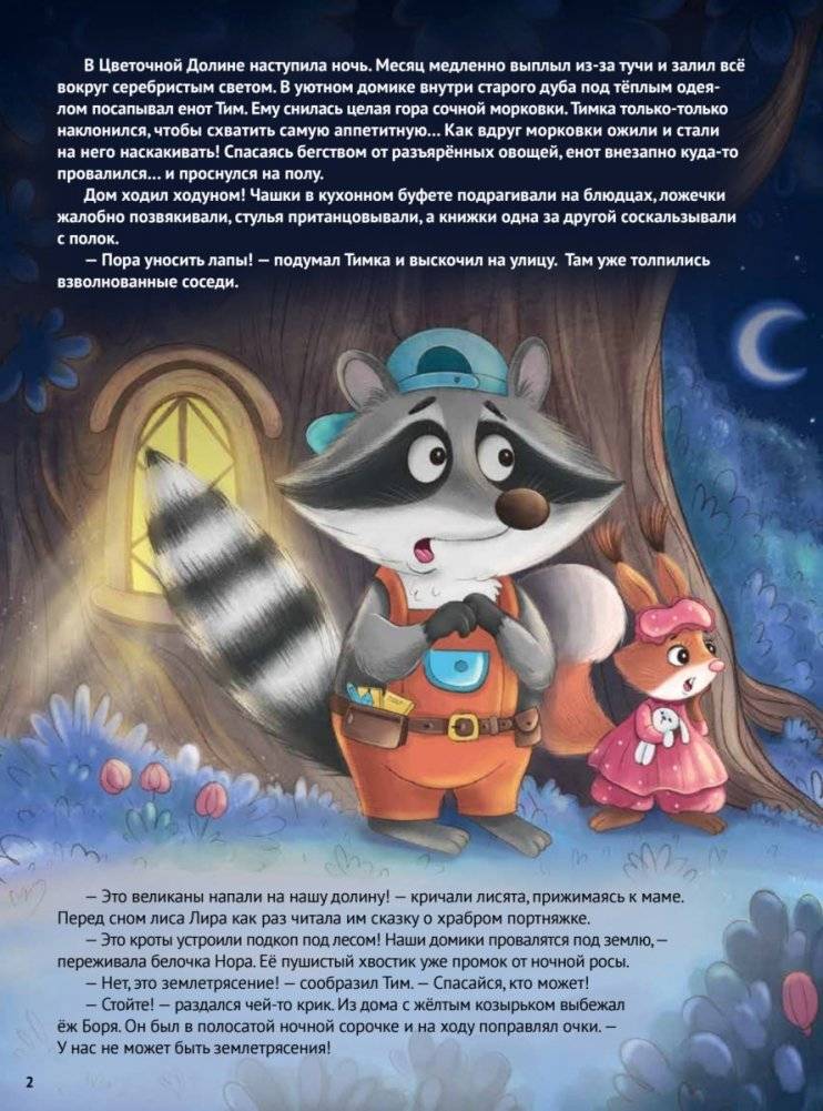 Любопытный енотик Тим! Почему Земля круглая, внутри горячая, а снаружи неровная? Книжка подготовишки фото книги 5