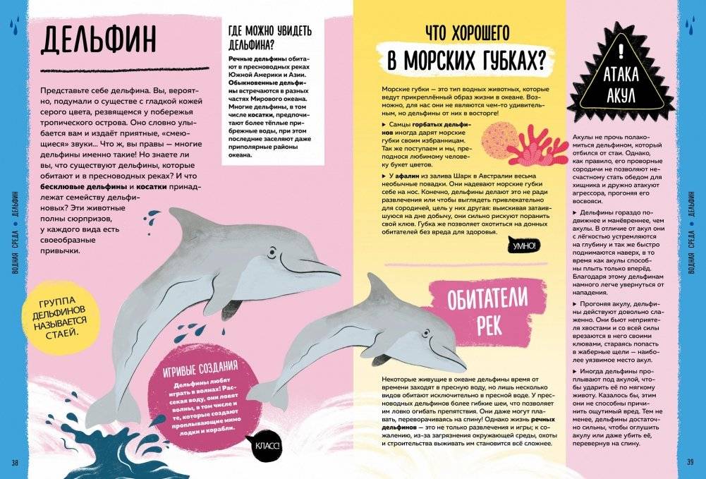 Мир вокруг тебя. Эти невероятные животные! фото книги 8