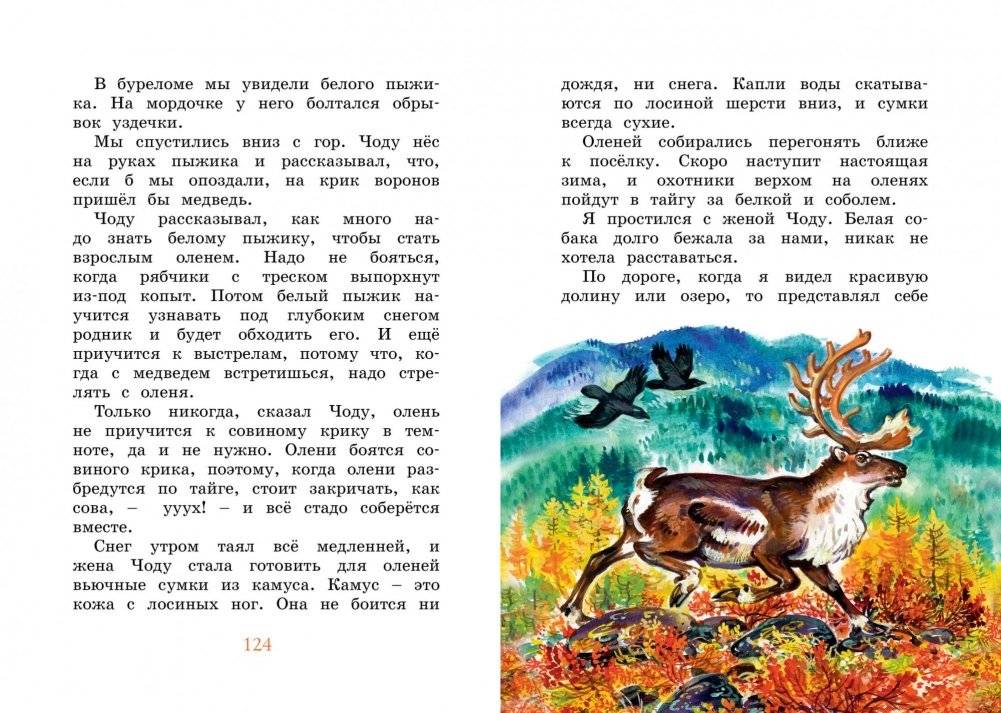 Беспокойный хвостик фото книги 7