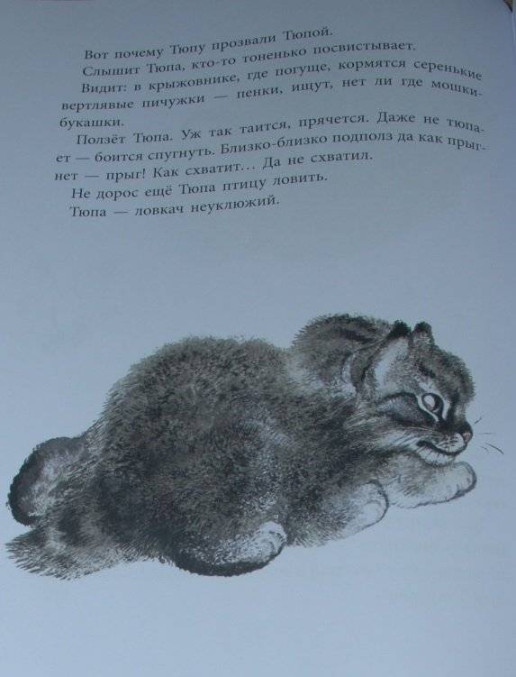 Почему Тюпа не ловит птиц. Рассказы фото книги 5
