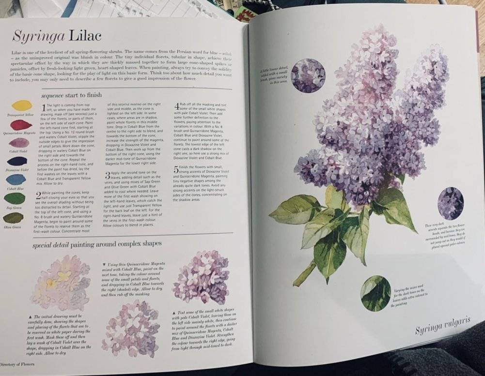 Kew: The Watercolour Flower Painter's A to Z фото книги 3