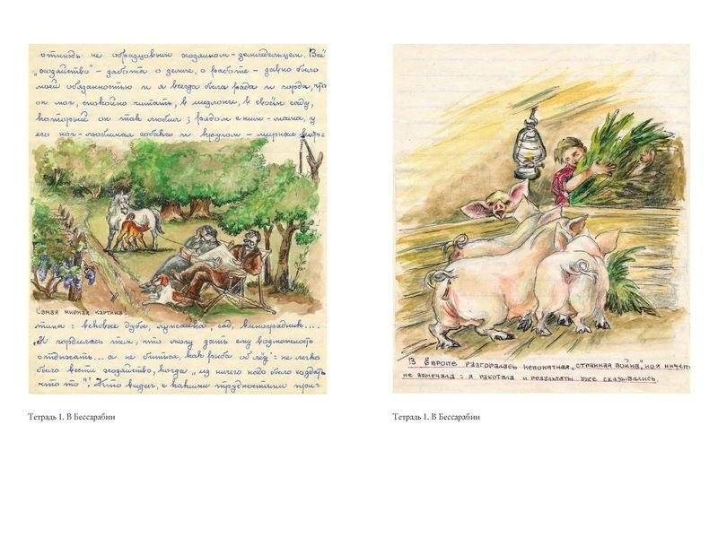 Сколько стоит человек фото книги 2