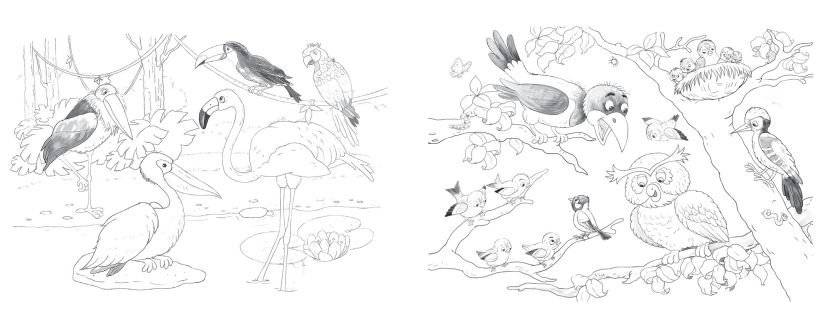 Многоразовая водная раскраска. Животные фото книги 4