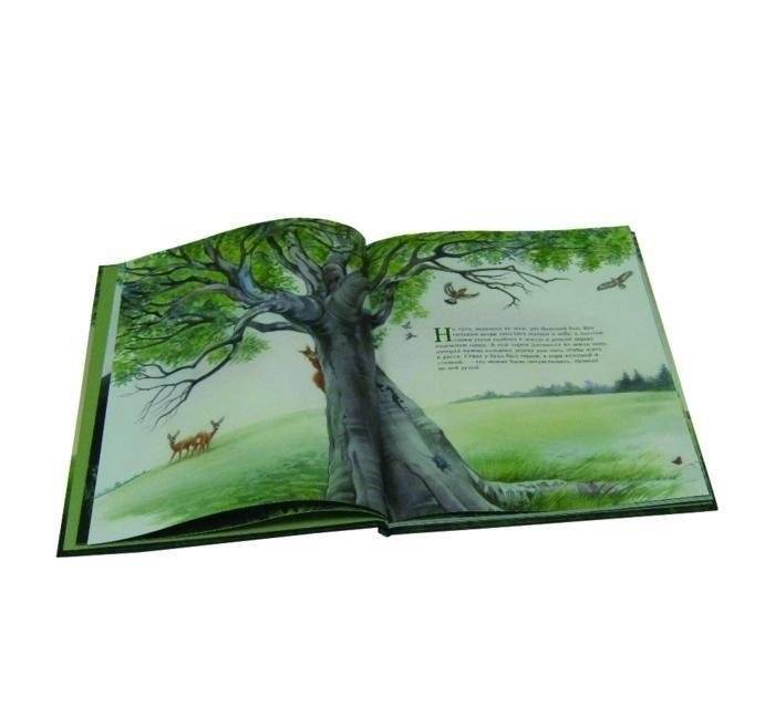 Маленькая березка фото книги 3