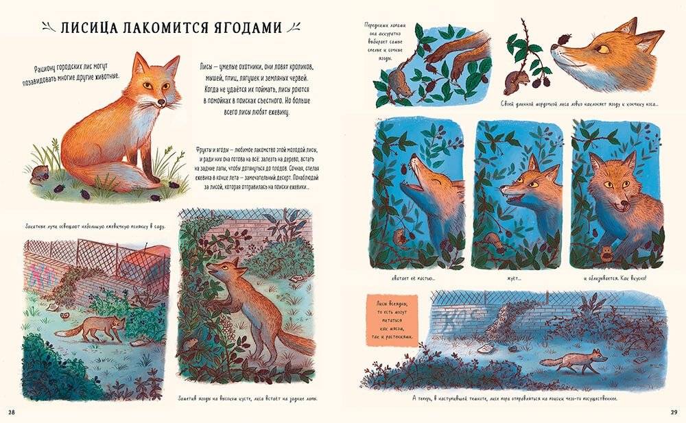 Оглянись вокруг. 50 маленьких событий в живой природе, ради которых стоит замедлиться фото книги 5