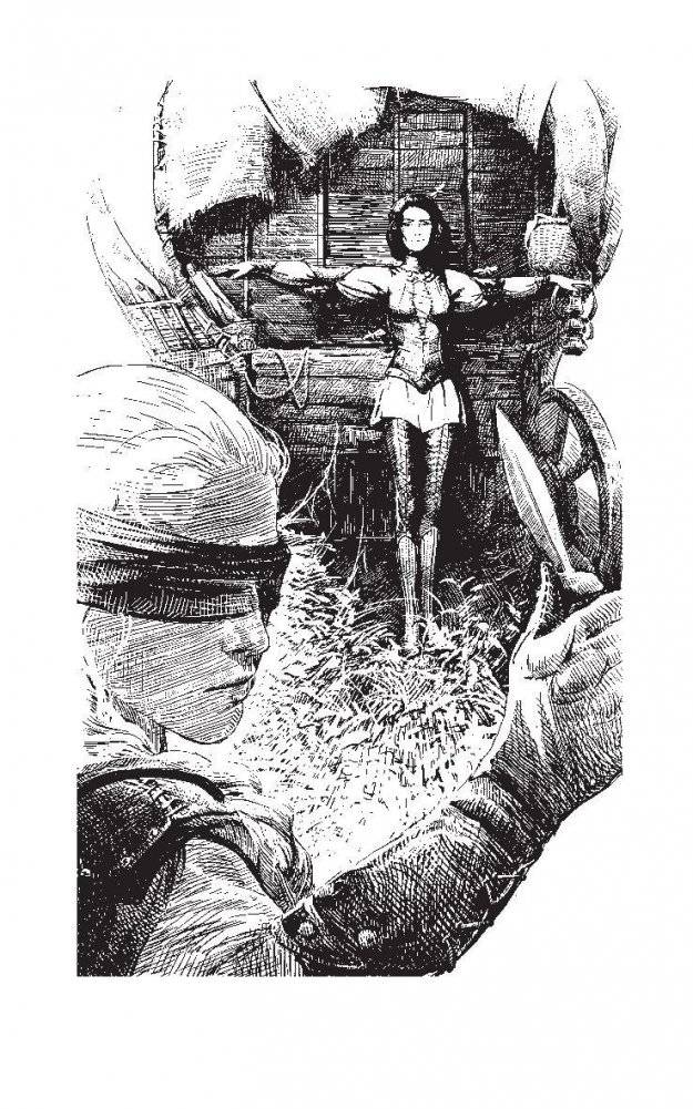 Синее пламя фото книги 3