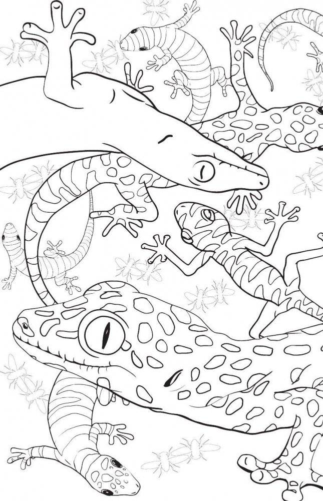 Удивительные животные. Мини-раскраска-антистресс для творчества и вдохновения фото книги 10