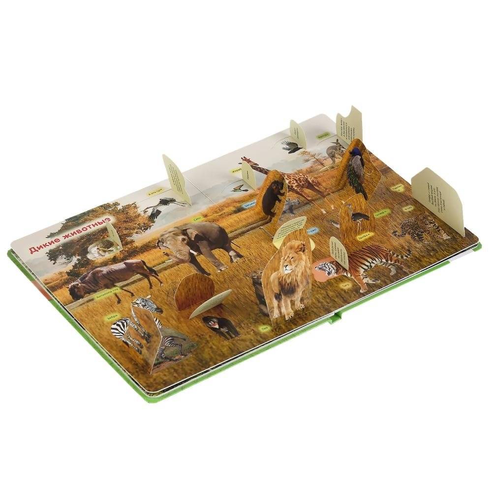 Животные фото книги 5