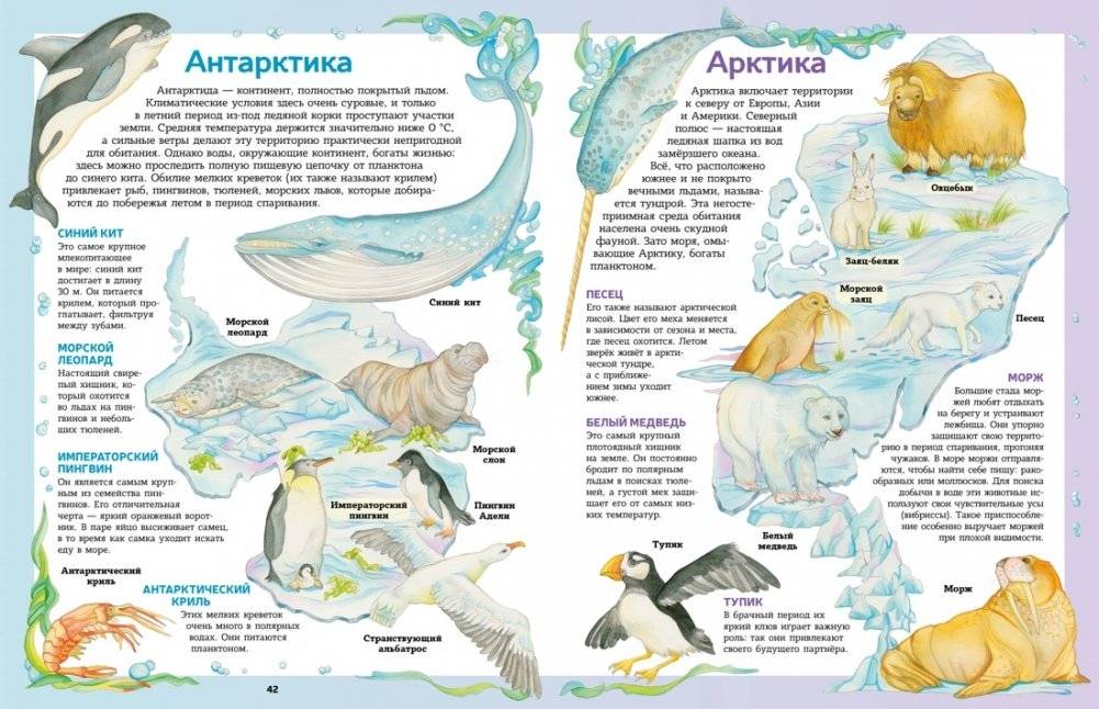 Атлас животных в картинках. Путешествие вокруг света фото книги 7