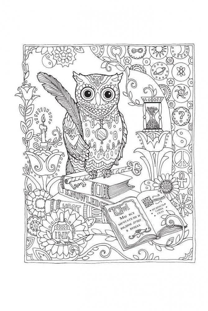 Совушки. Блокнот-раскраска фото книги 3