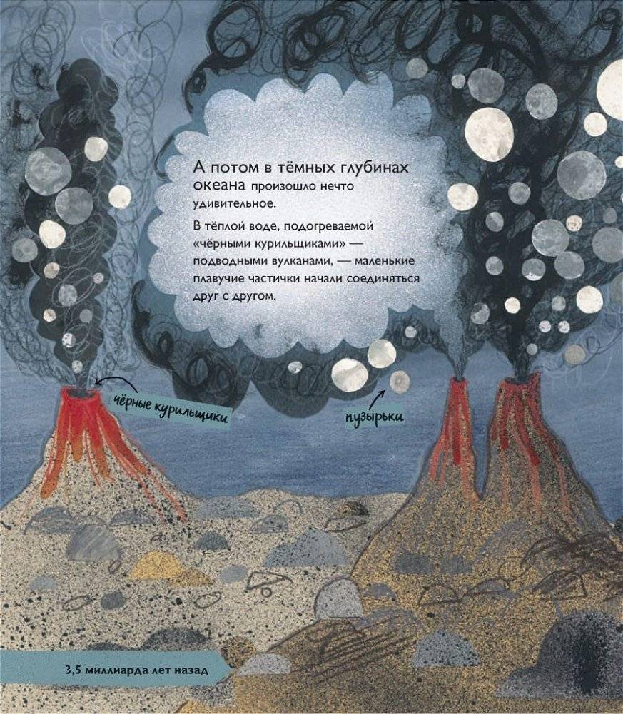 История жизни. Моя первая книга об эволюции фото книги 5