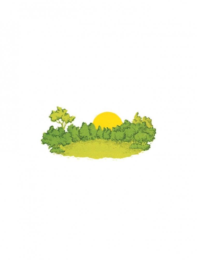 Поиграем в йогу. Лёгкие и весёлые упражнения для развития гибкости и координации, воображения и памяти фото книги 3