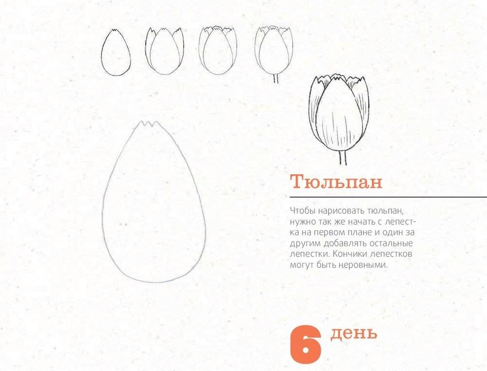 365 дней рисования. Пошаговые техники для начинающих художников фото книги 10