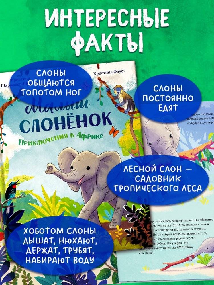 Малыш слонёнок. Приключения в Африке фото книги 5
