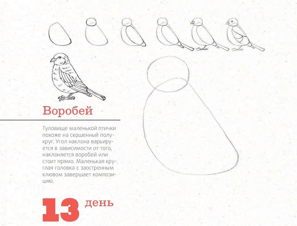 365 дней рисования. Пошаговые техники для начинающих художников фото книги 3