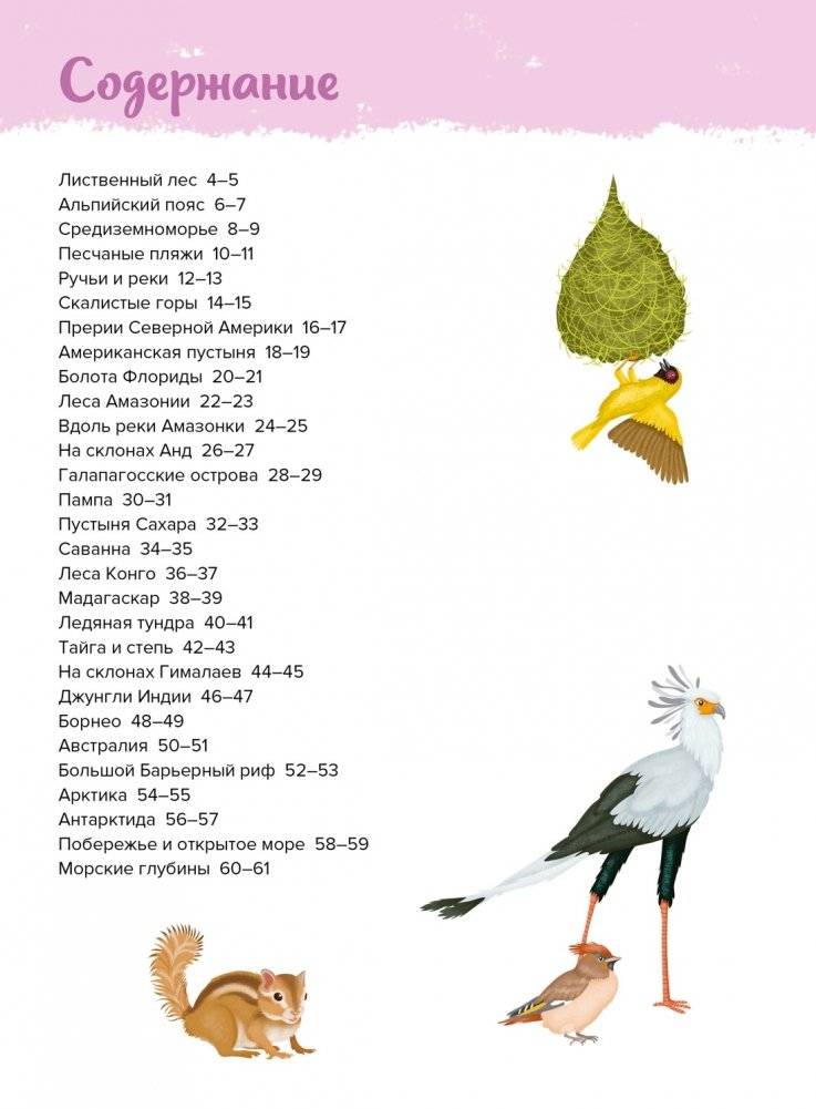 Животные. Мой первый атлас в картинках фото книги 2