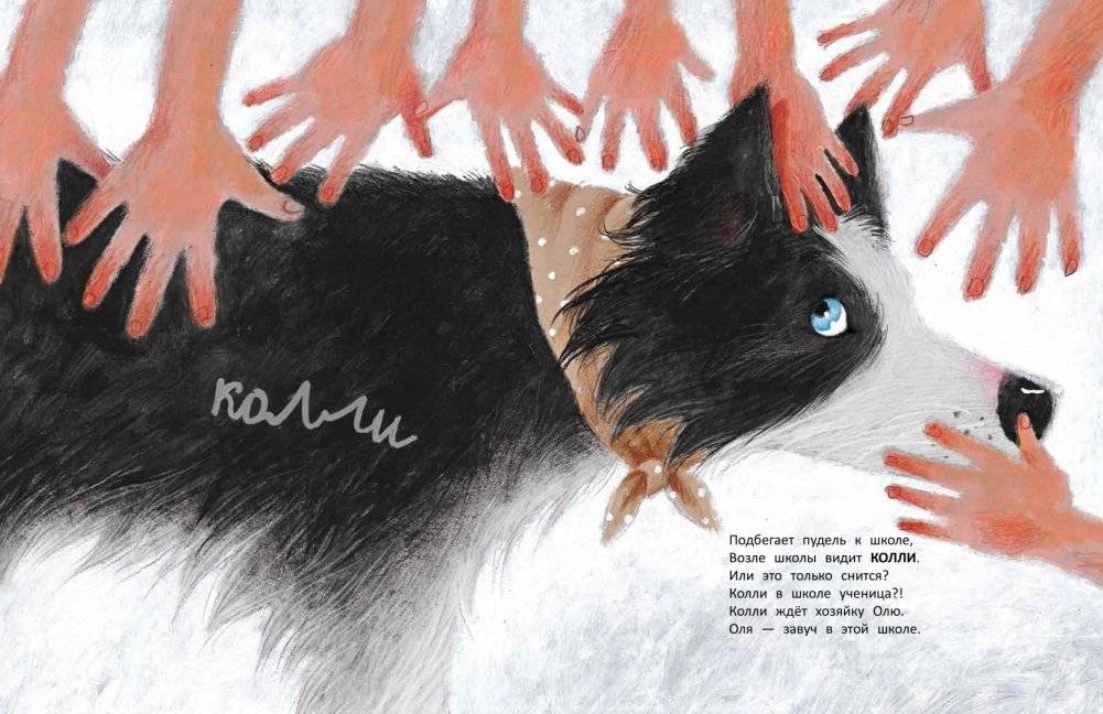 Вышел пудель погулять фото книги 6