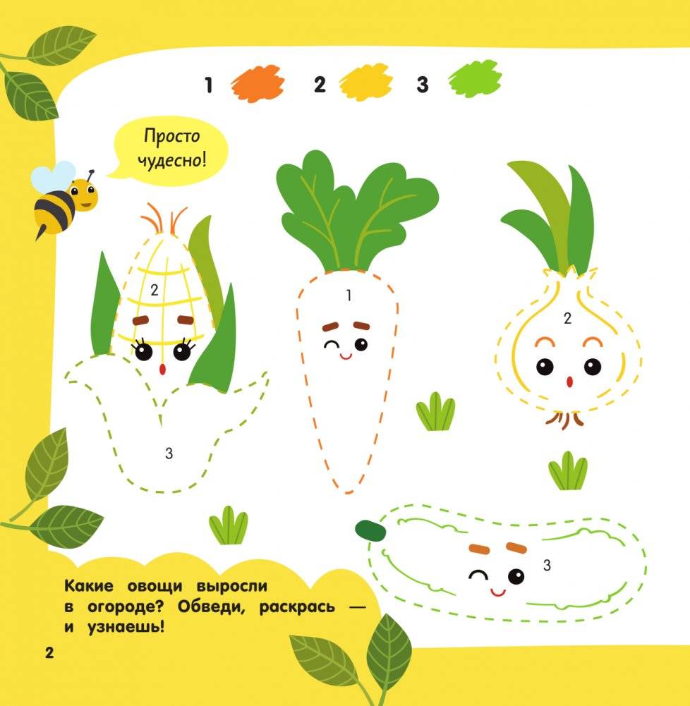 Рисуем по номерам фото книги 3