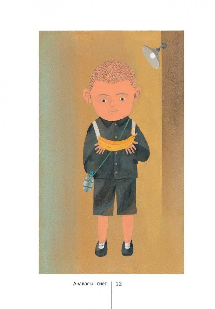 Ананасы і снег фото книги 8