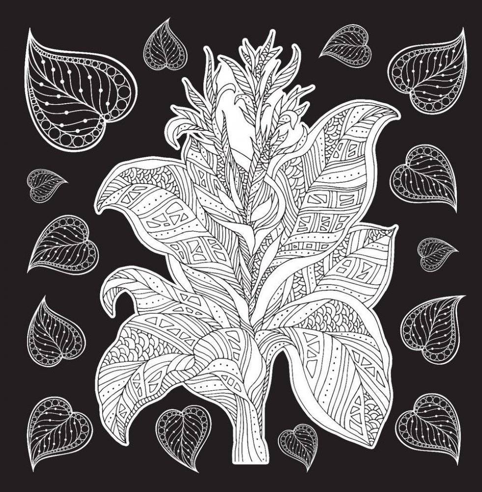 Свет и тень. Творческая раскраска с черно-белым фоном фото книги 4