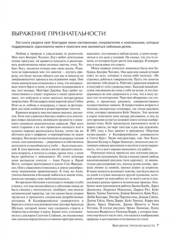 Как рисовать птиц. Руководство фото книги 5