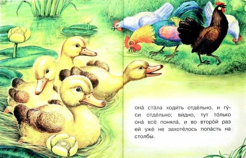 Рассказы о животных фото книги 2