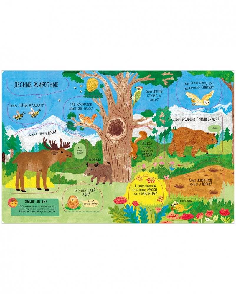 Большая книга с окошками. Животные фото книги 7