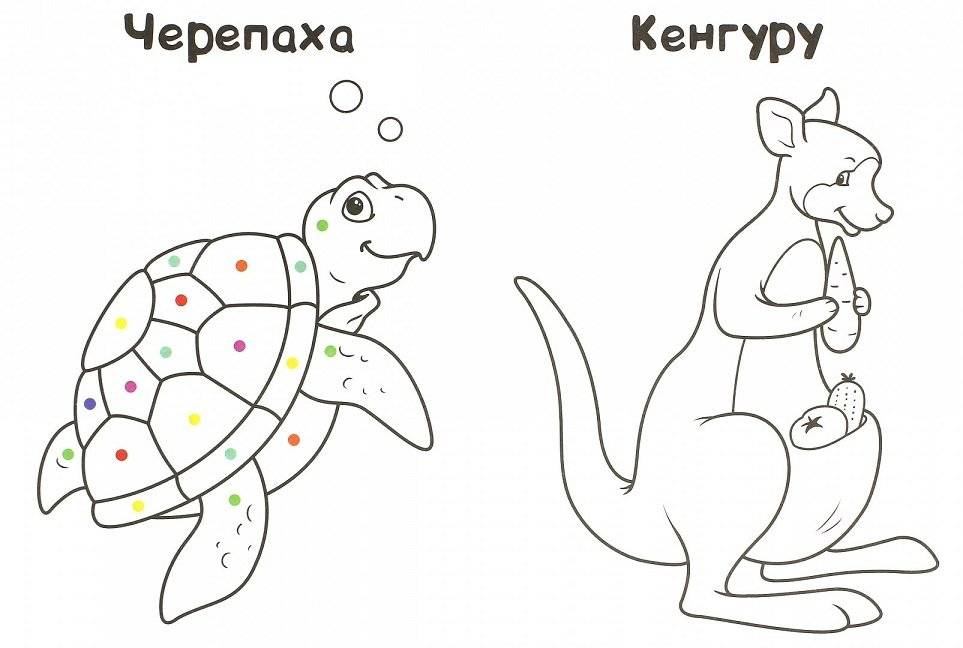 Мир животных. Умная раскраска фото книги 2