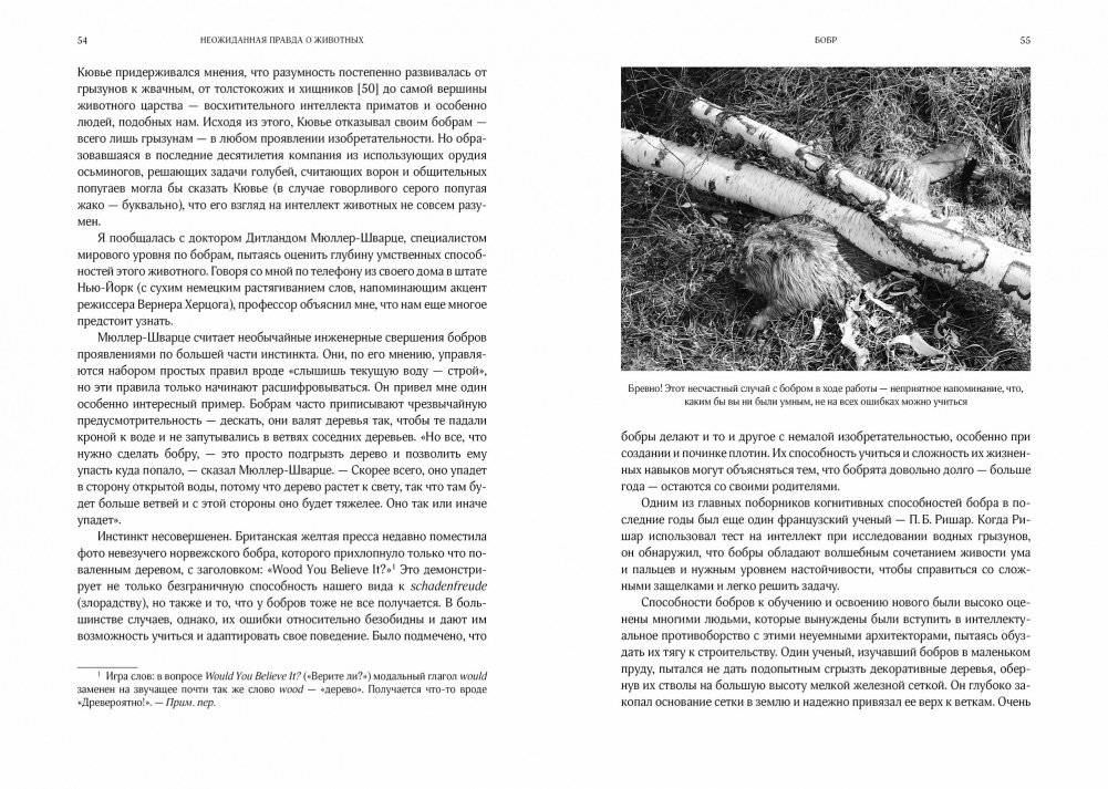 Неожиданная правда о животных. Муравей-тунеядец, влюбленный бегемот, феминистка гиена и другие дикие истории из дикой природы фото книги 6