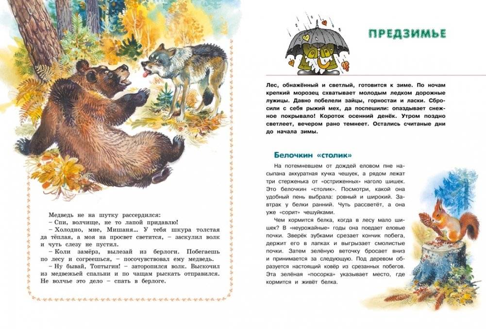 Большая лесная энциклопедия. Знакомимся с природой России фото книги 3