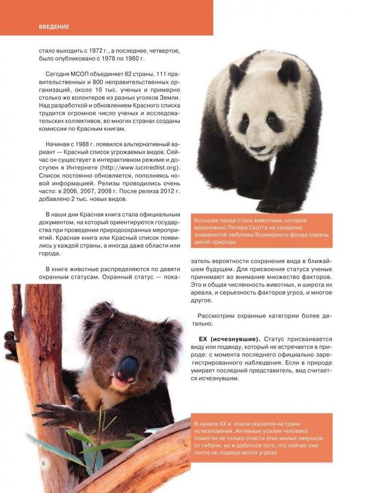 Красная книга. Животные мира фото книги 7