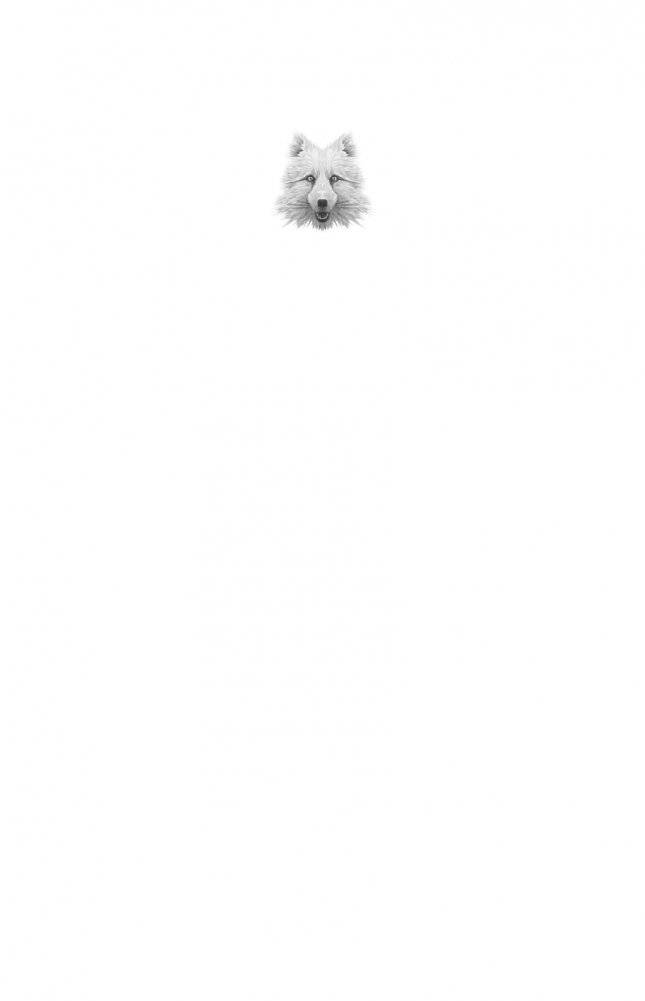 Лисий план (#6) фото книги 2