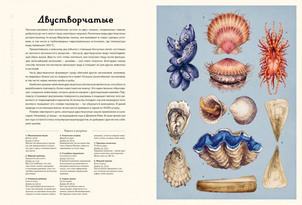 Океанариум фото книги 5