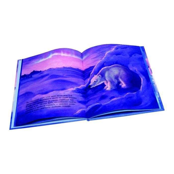 Как медвежонок солнце искал фото книги 4