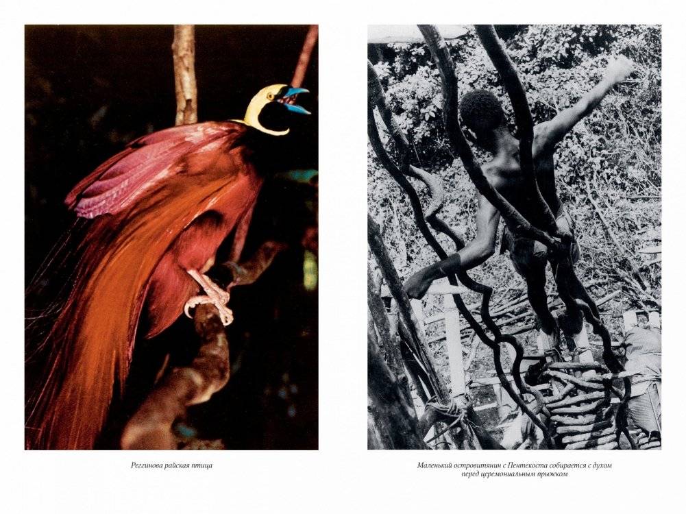 Путешествия на другую сторону света фото книги 3