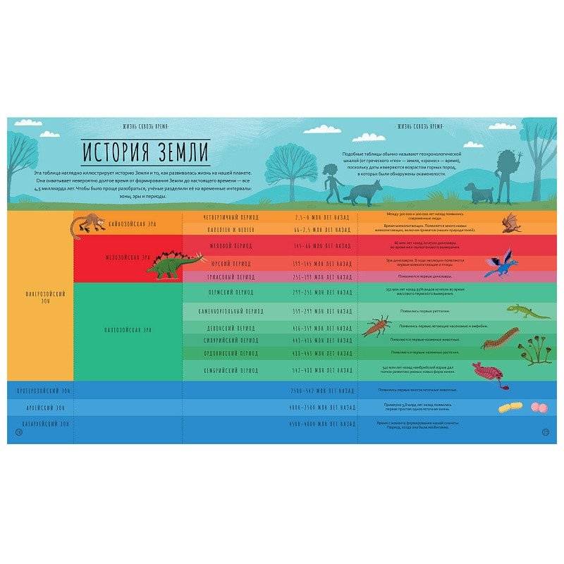 Чудеса эволюции. Путешествие во времени фото книги 4
